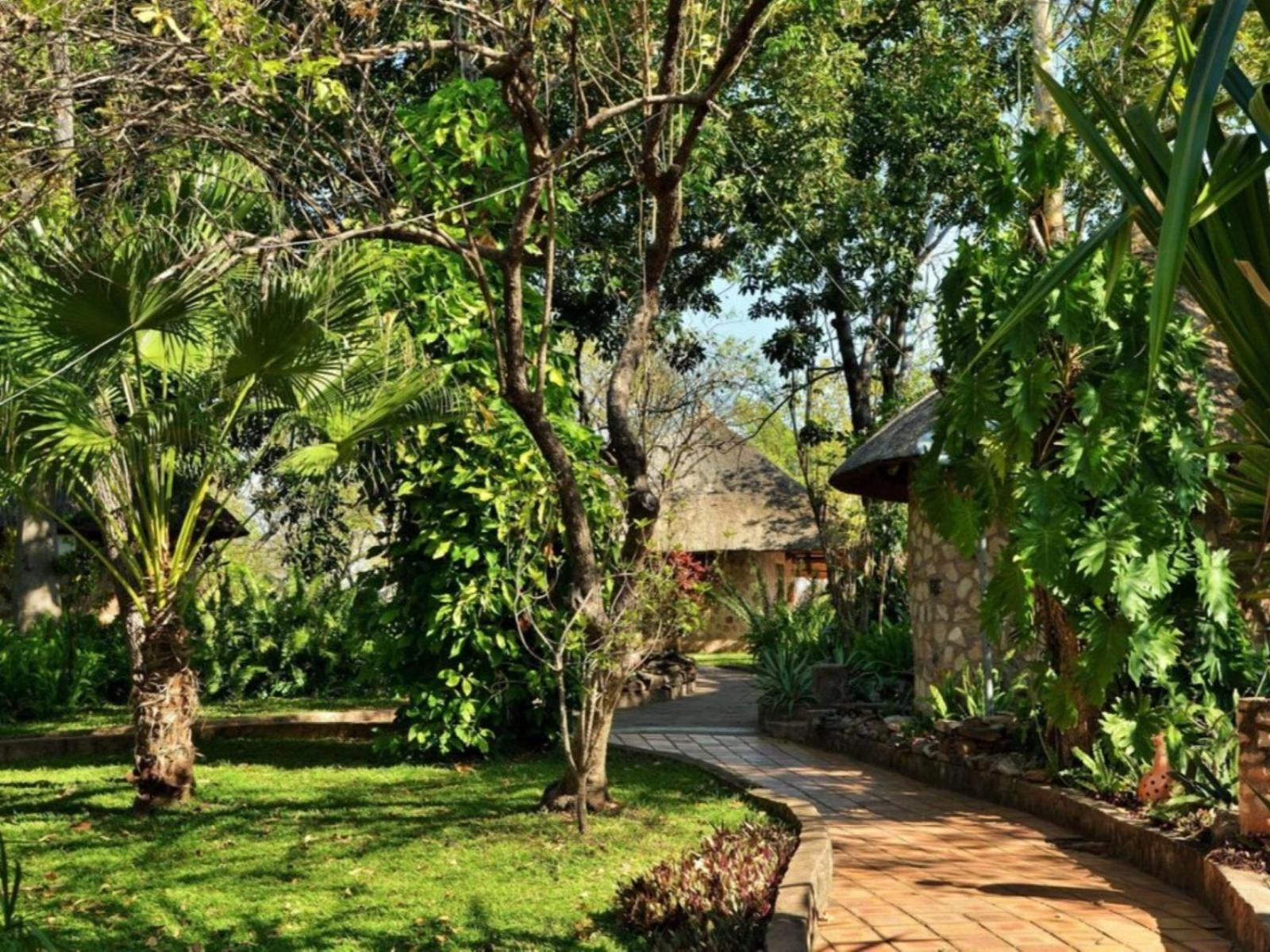 Masumu River Binga